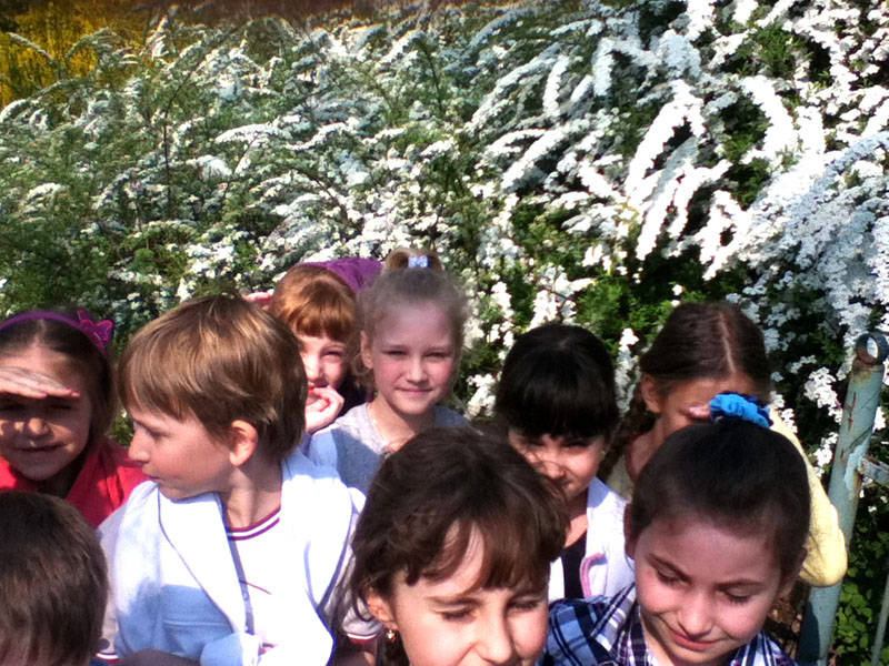 Вальс цветов