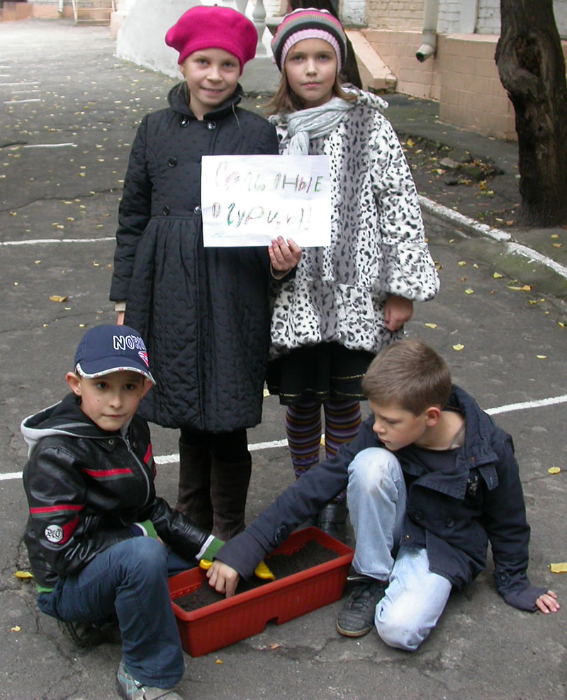 Огород на подоконнике