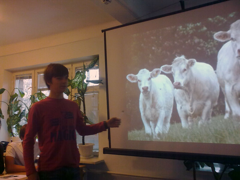 Дижонский пряник