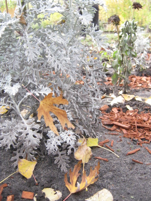 Осенний этюд