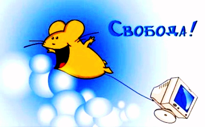 Свобода – це розкіш, яку не кожен собі дозволить. Отто фон Бісмарк