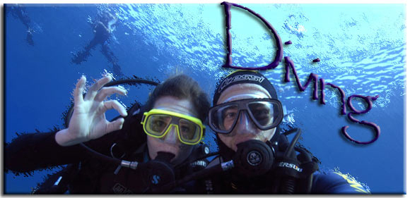 Для детей в школе «Афины» курс подводного плавания Open Water Diver PADI. «Исследователи глубин или первая профессия»