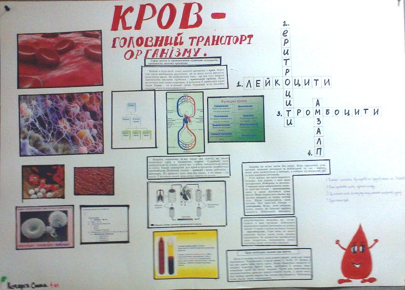 Обучая – учусь! (продолжение)