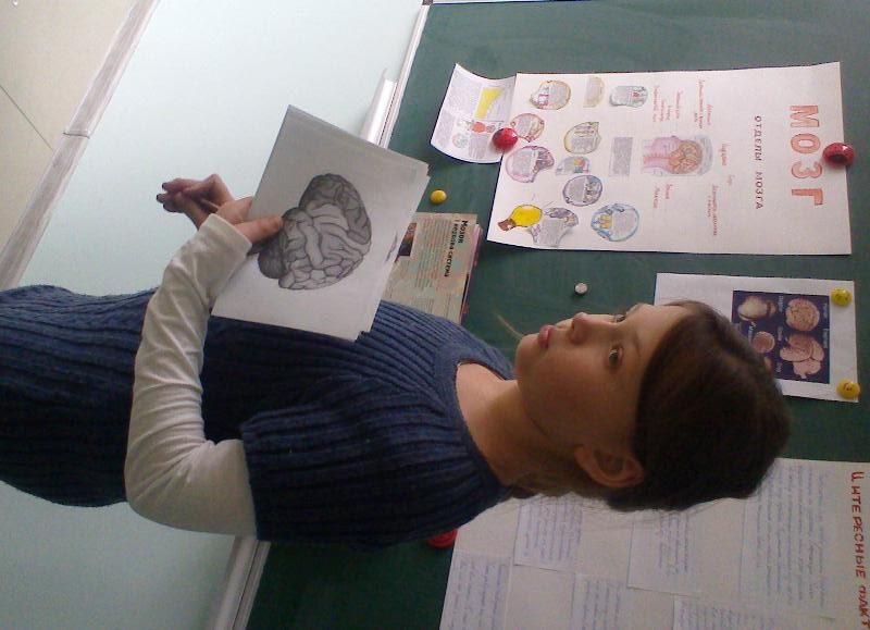 Обучая – учусь (продолжение)…