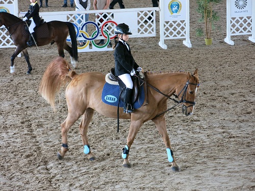 Серый в яблоках конь…