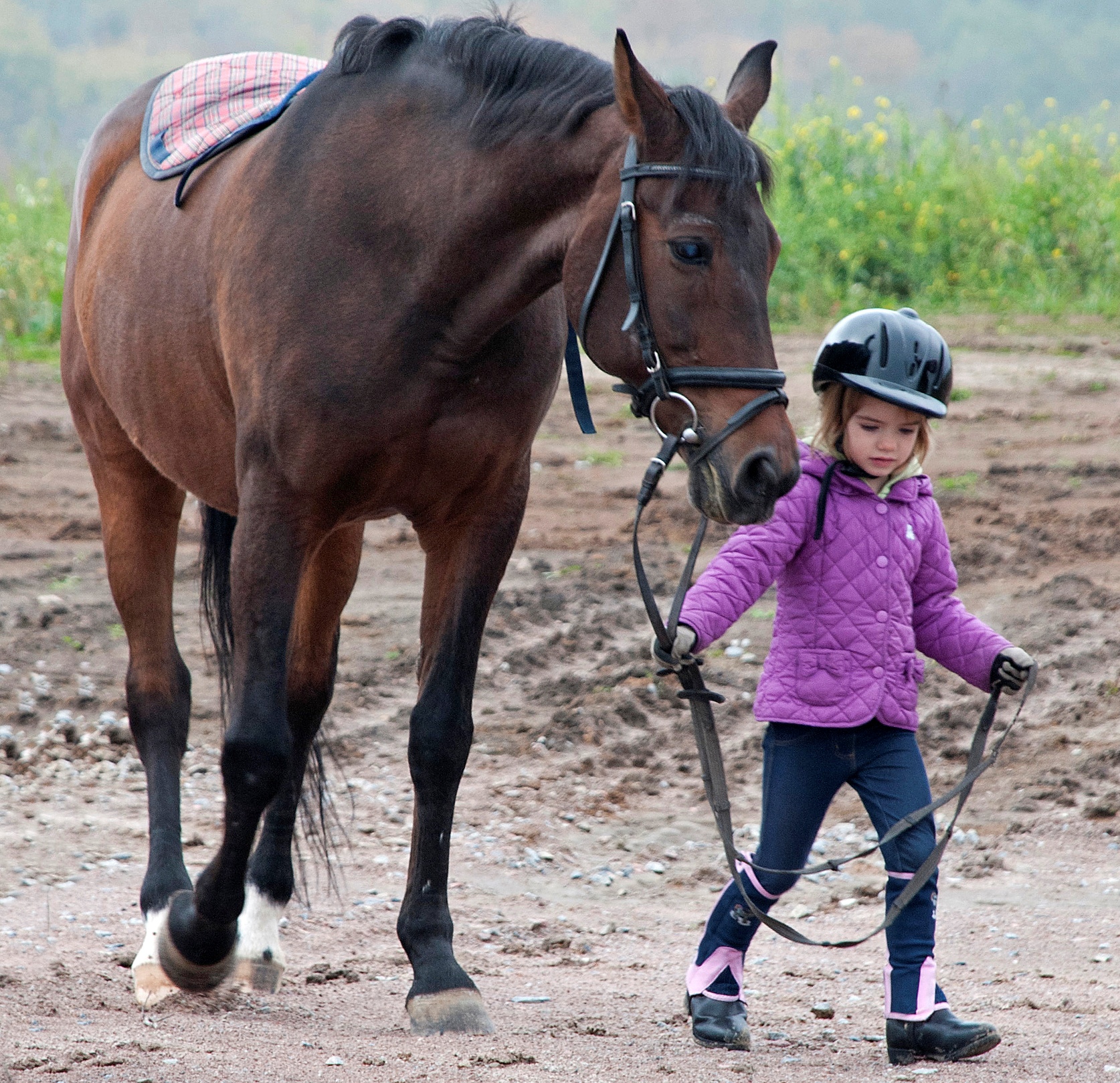Персональная выставка семьи Рудя